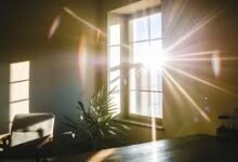 photeeq lens flare