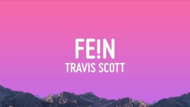 fein lyrics